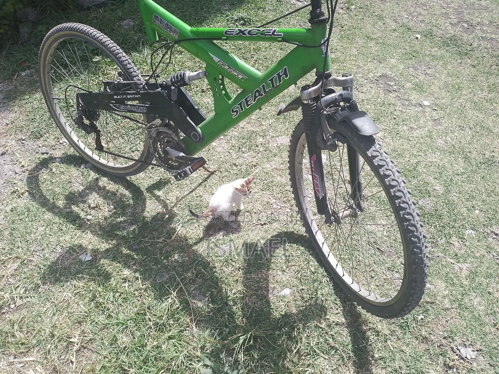 Special Super Bicycle