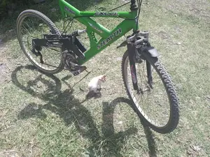 Special Super Bicycle