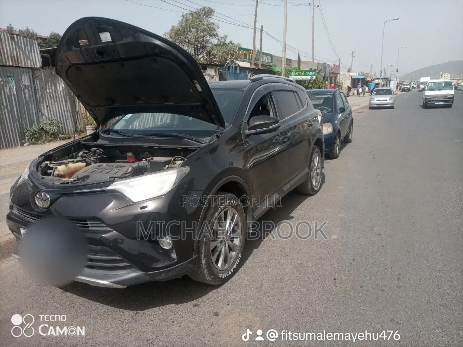 Toyota RAV4 2016 Brown