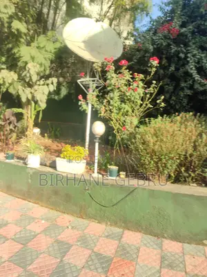 Photo - Furnished 5bdrm House in G+1 House, Bole for rent