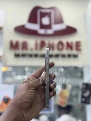 New Apple iPhone 16 Pro Max 256 GB Gray