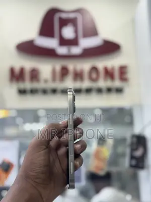 New Apple iPhone 16 Pro Max 256 GB Gray