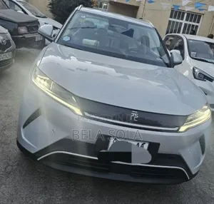 Photo - BYD Yuan Up 2025 Silver