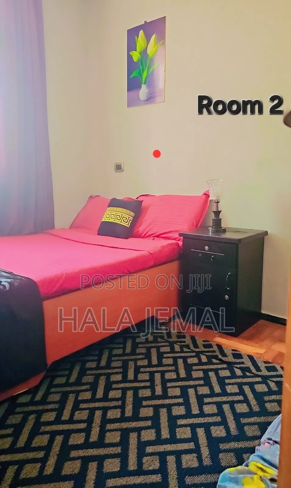 Furnished 3bdrm Apartment in Bole for rent