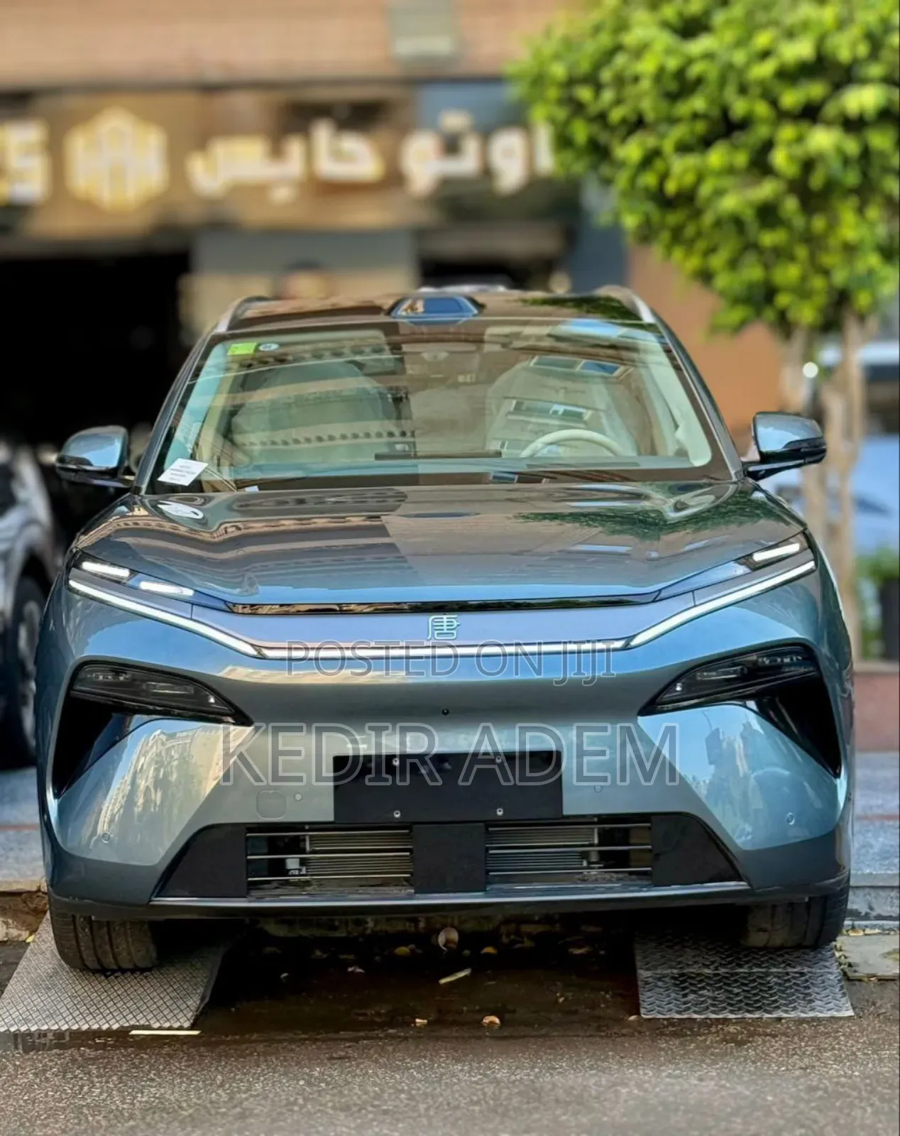 New BYD Tang EV 2025 Green