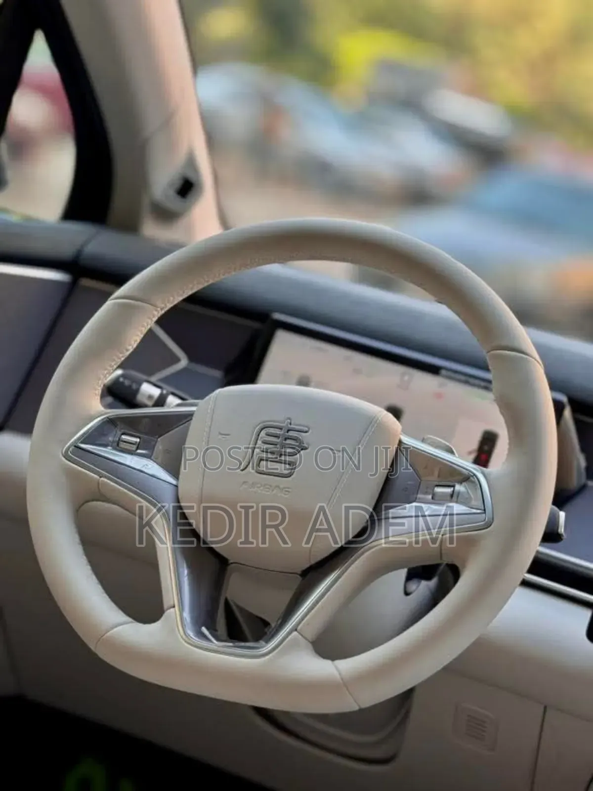 New BYD Tang EV 2025 Green