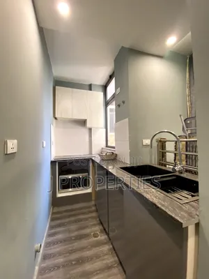 Furnished Studio Apartment in Bole for rent