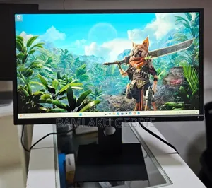 New Dell 24" Inch FHD Resolution Frameless Monitor 2022/23