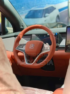 New BYD Tang EV 2025 Gray