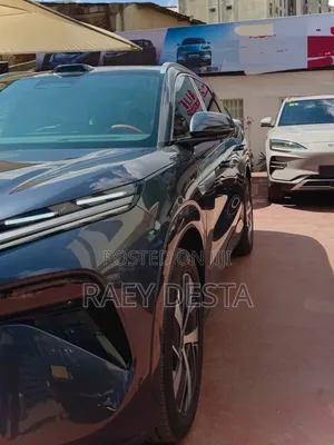 New BYD Tang EV 2025 Gray