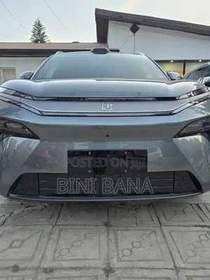 Photo - New BYD Tang DM-i 2025 Brown