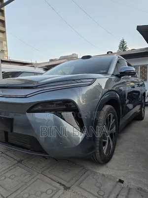 New BYD Tang DM-i 2025 Brown