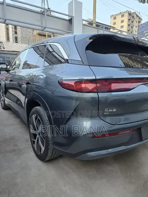 New BYD Tang DM-i 2025 Brown