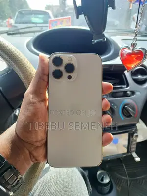 Apple iPhone 13 Pro Max 256 GB Gold