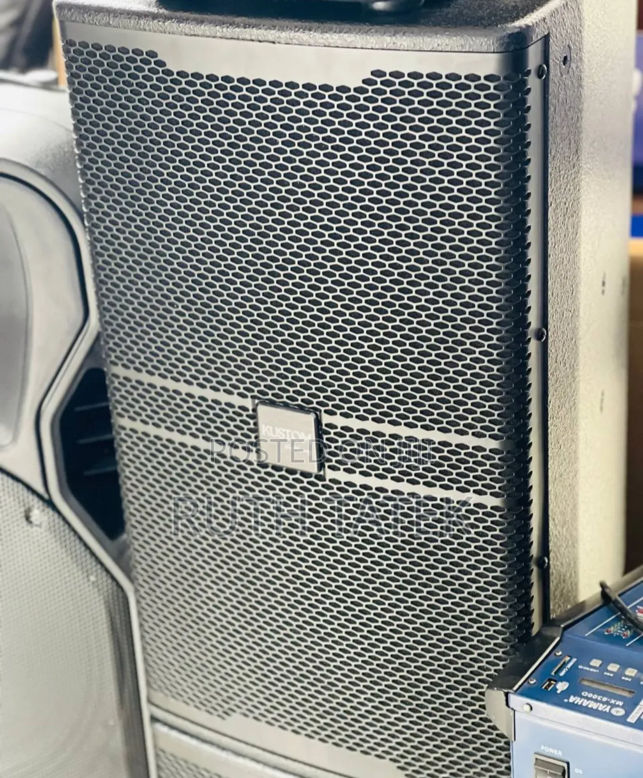 Kustom Stage Speaker