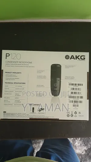 Akg P120 Condenser Mic