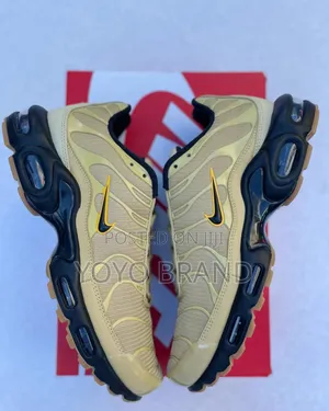 Photo - Nike Air Max Tn Wheat Grass Fashion Shoes