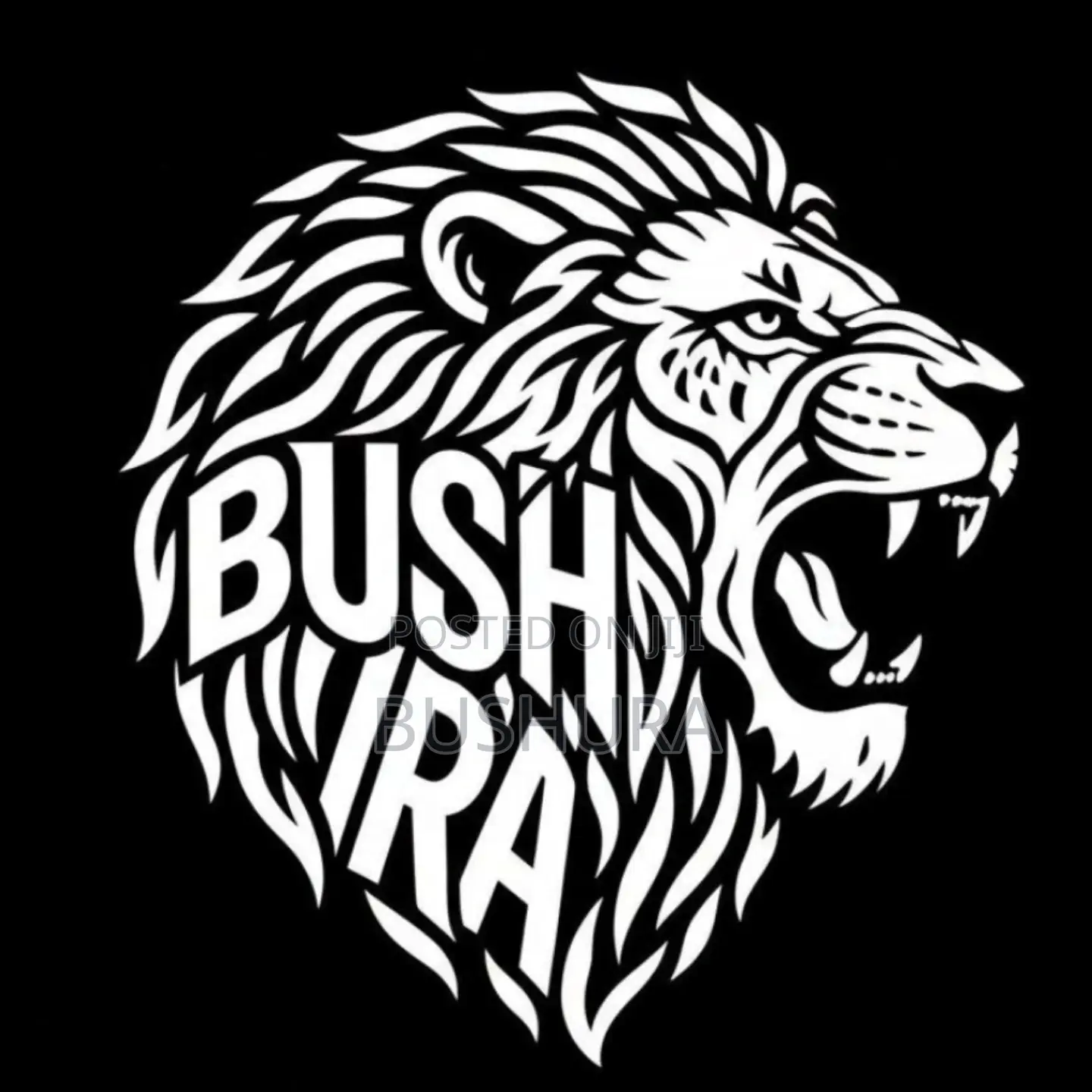 Graphics Designer Logo Maker Photo Editor and Video Editor for a Media