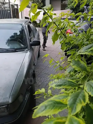 Toyota Corolla 1991 Gray