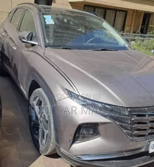 Hyundai Tucson 2021 Brown
