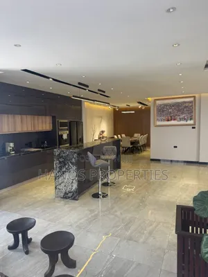 Furnished 5bdrm Penthouse in Yeka for sale