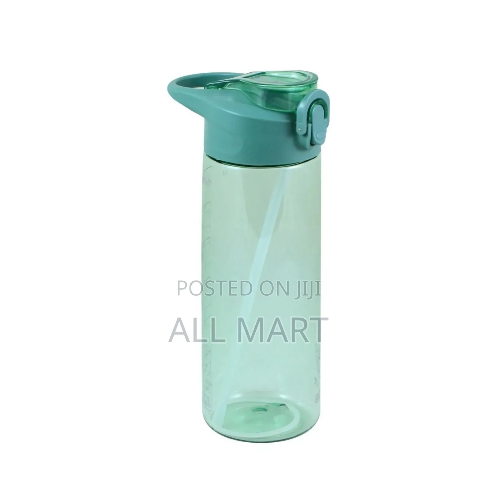 Stainless Steel Water Bottle
