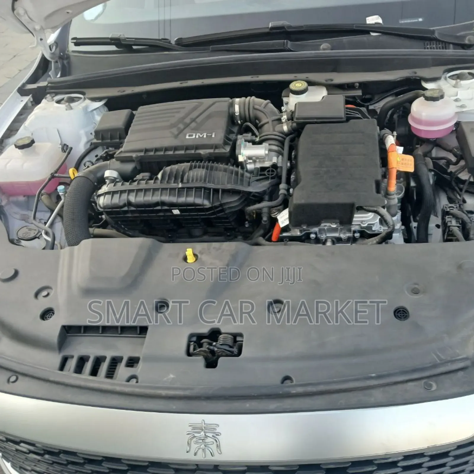 BYD Qin Plus DM-i 2024 White