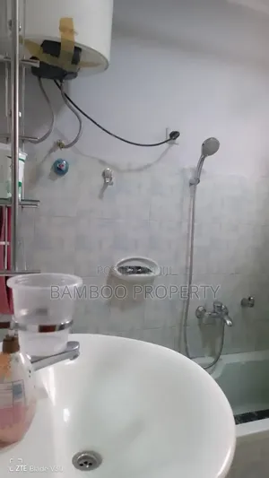 Furnished 2bdrm House in Bole for rent