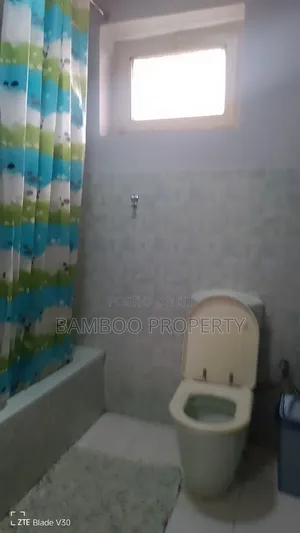 Furnished 2bdrm House in Bole for rent