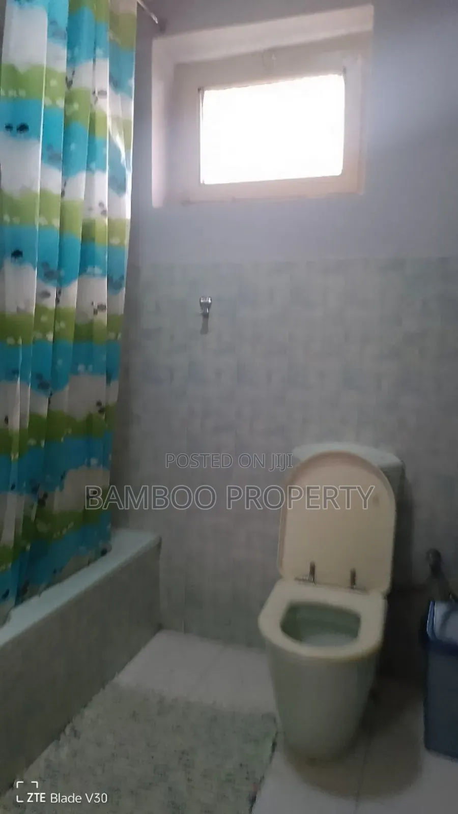 Furnished 2bdrm House in Bole for rent
