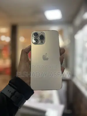 Apple iPhone 13 Pro Max 256 GB