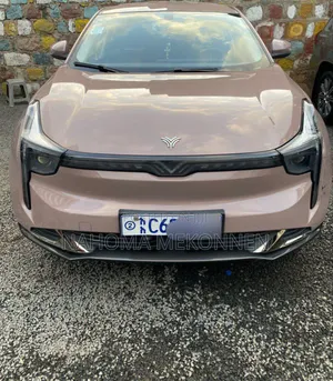 Photo - Hozon Neta U 2022 Brown