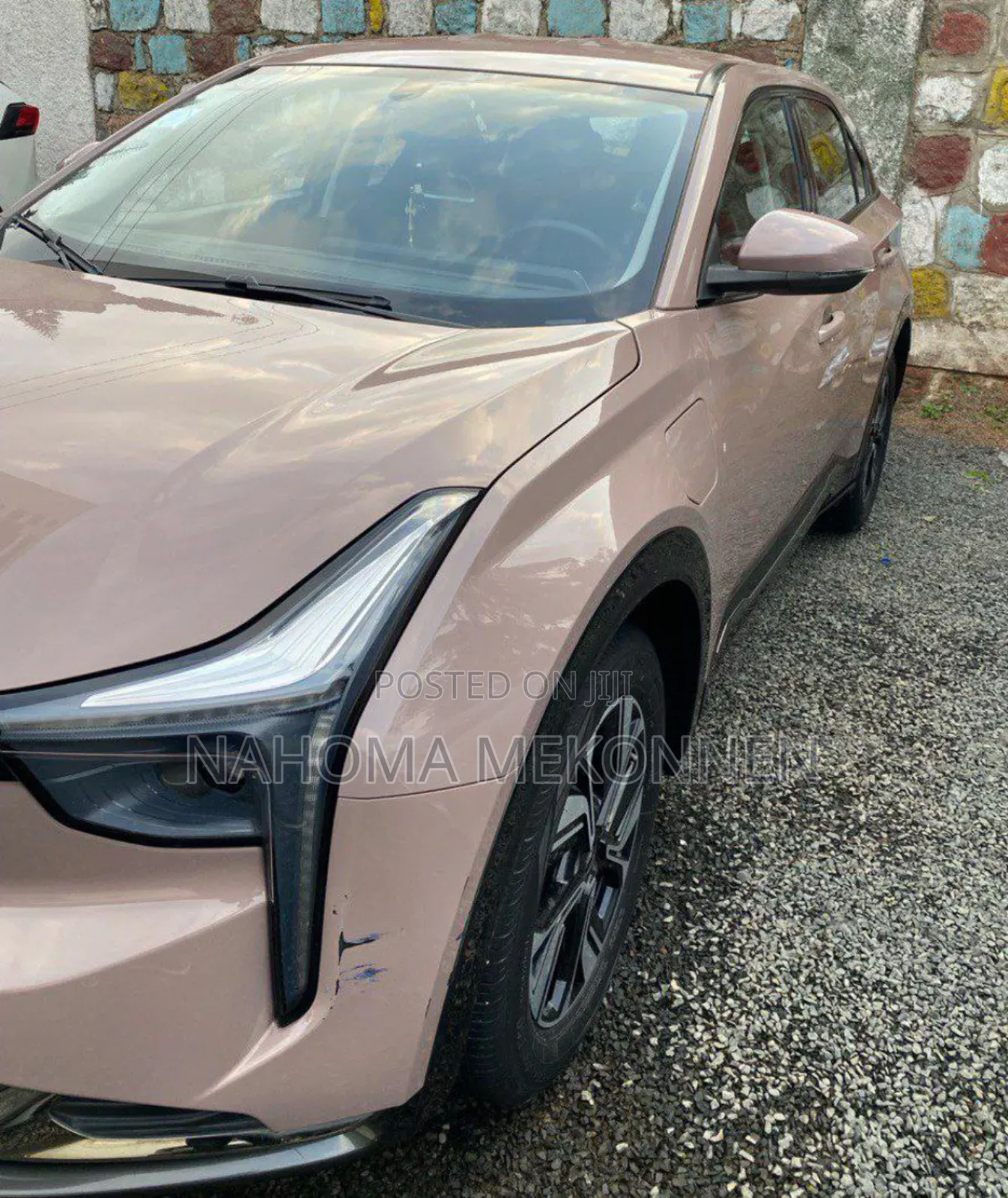 Hozon Neta U 2022 Brown