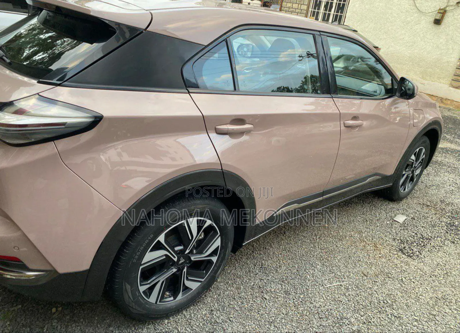 Hozon Neta U 2022 Brown