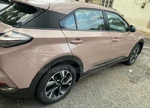 Hozon Neta U 2022 Brown