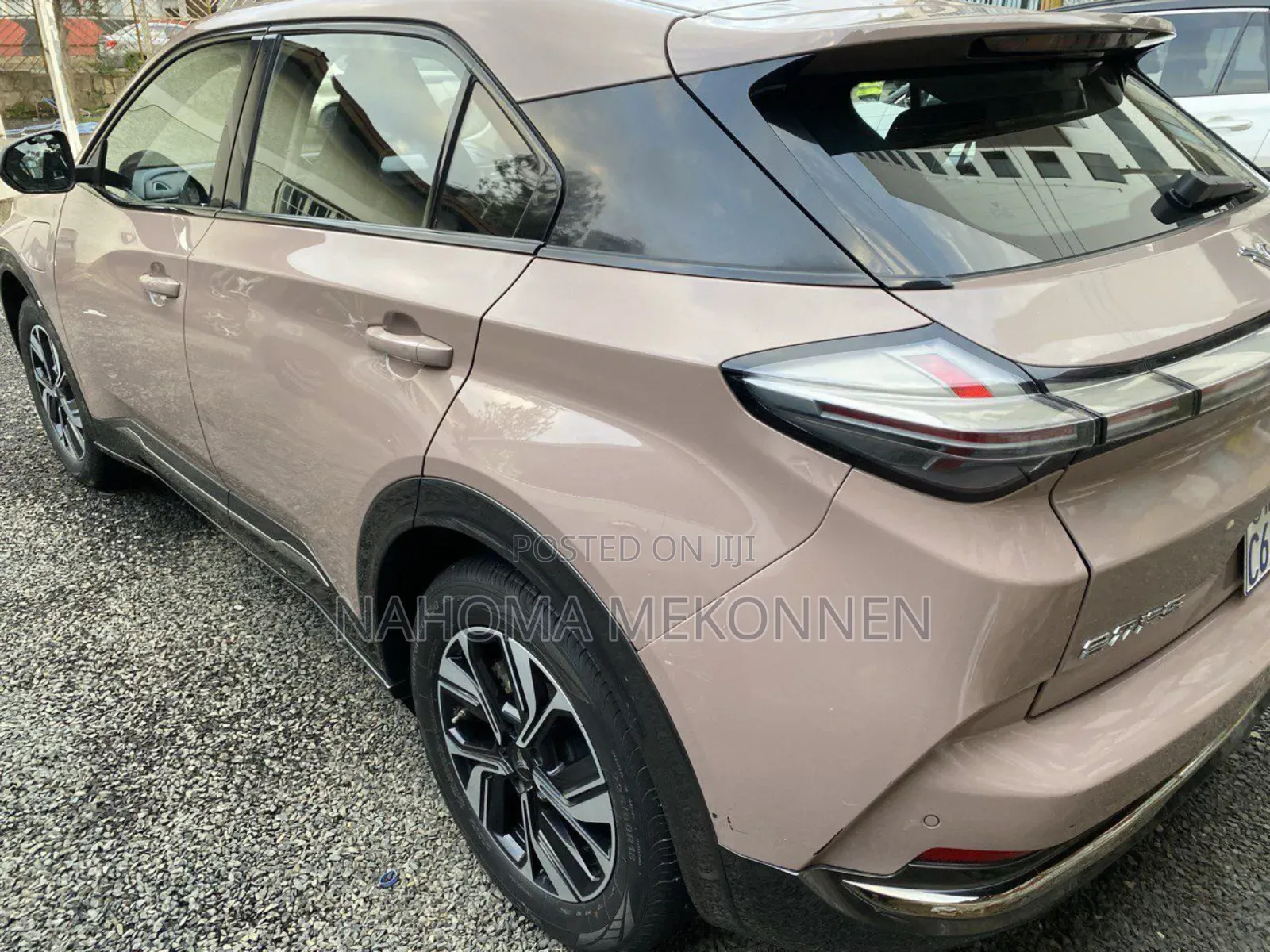 Hozon Neta U 2022 Brown