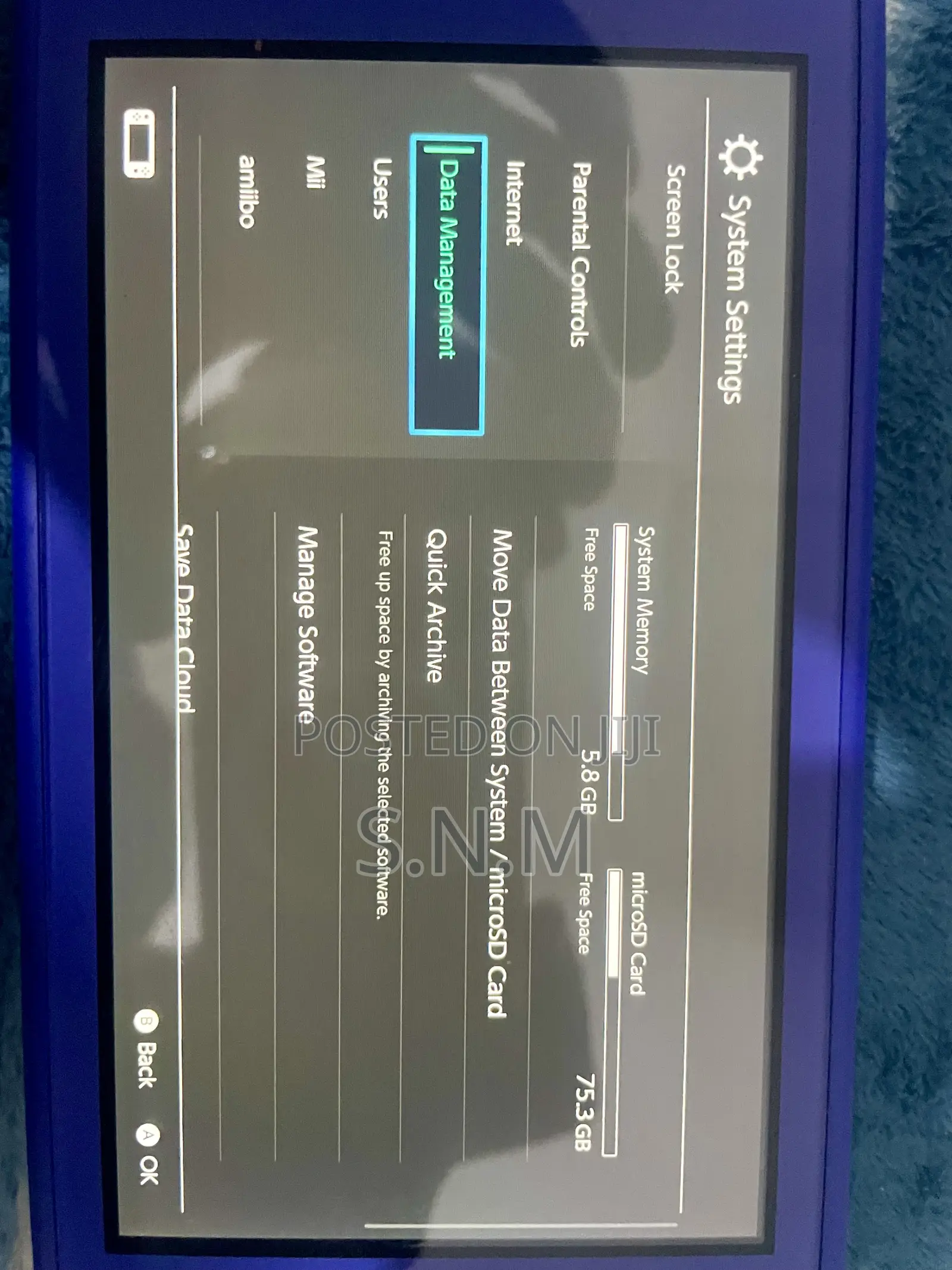 Nintendo Switch Lite