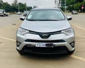 Toyota RAV4 LE AWD (2.5L 4cyl 6A) 2017 Silver