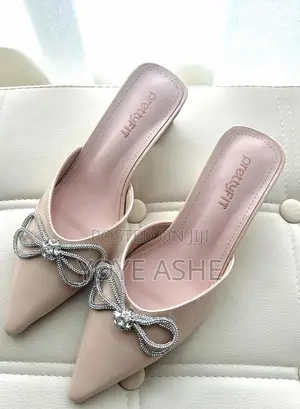 Photo - Pointed-Toe Mule Shoe.