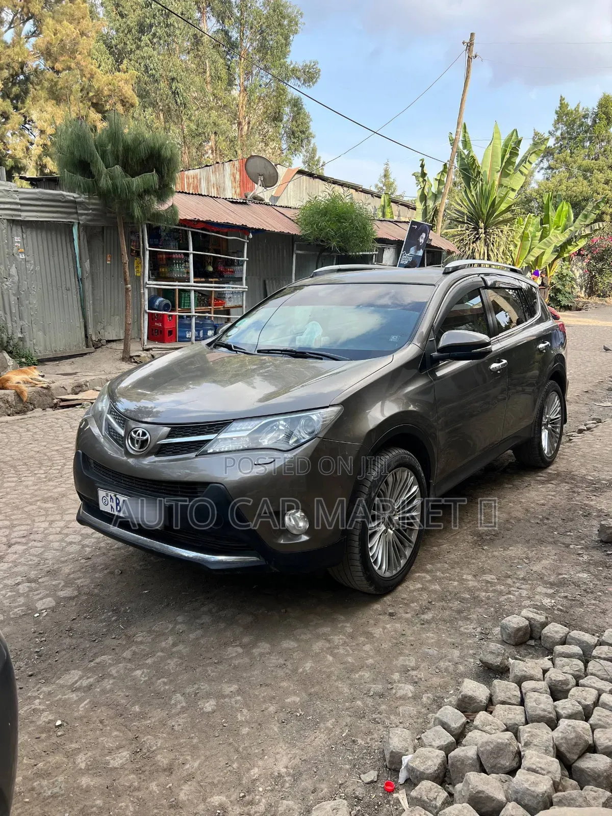 Toyota RAV4 2015 Brown