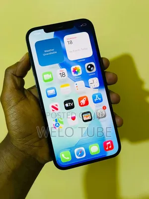 Apple iPhone 12 Pro Max 256 GB Blue