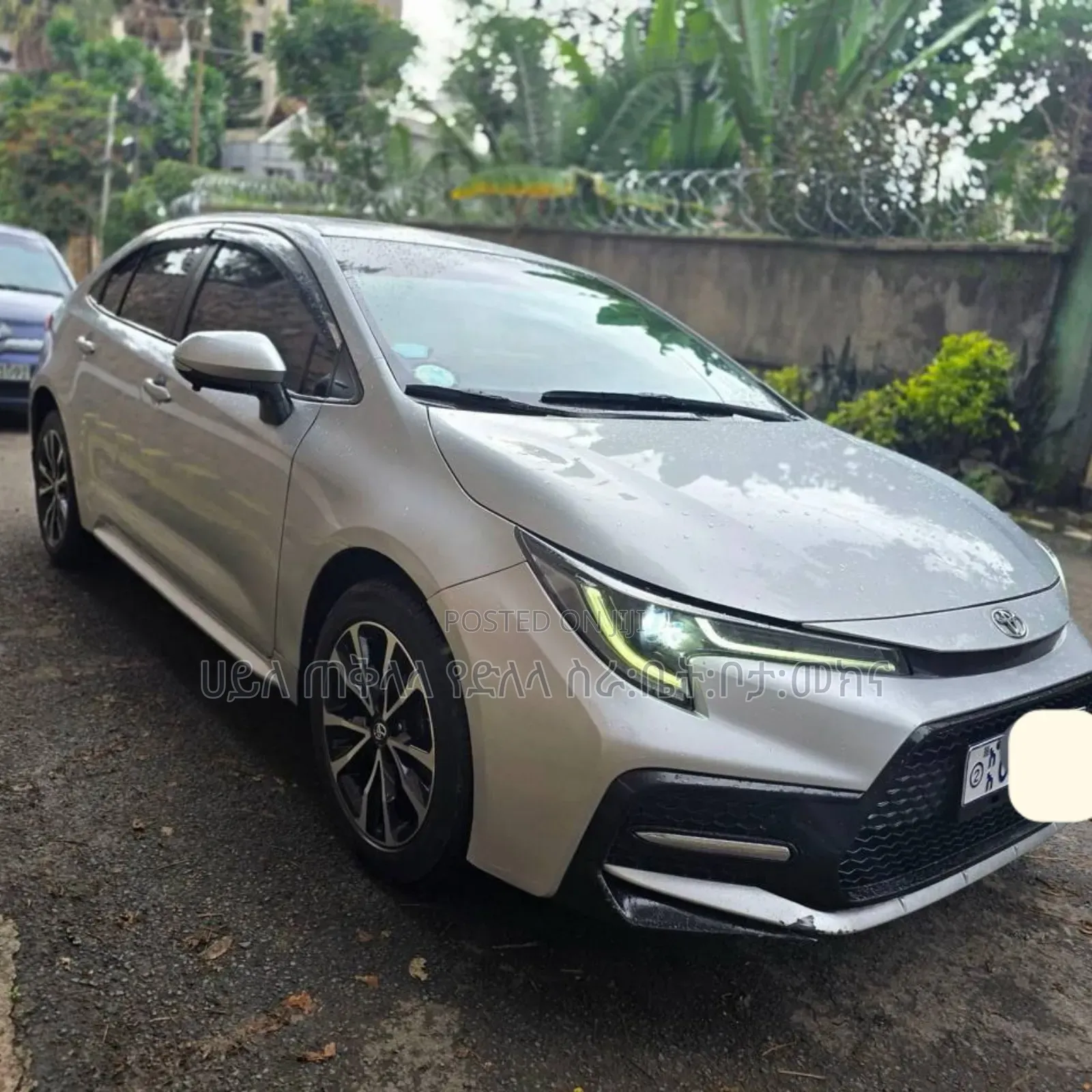 Toyota Corolla 2023 Off white