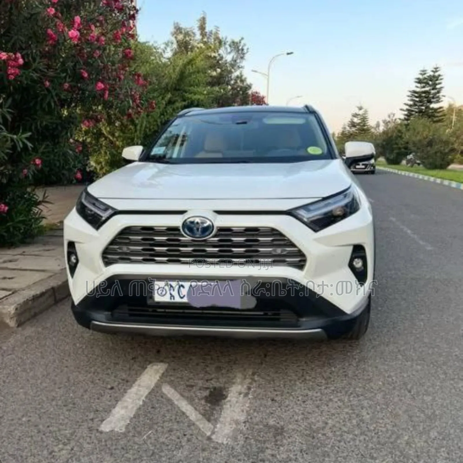 Toyota RAV4 Hybrid 2023 Ivory