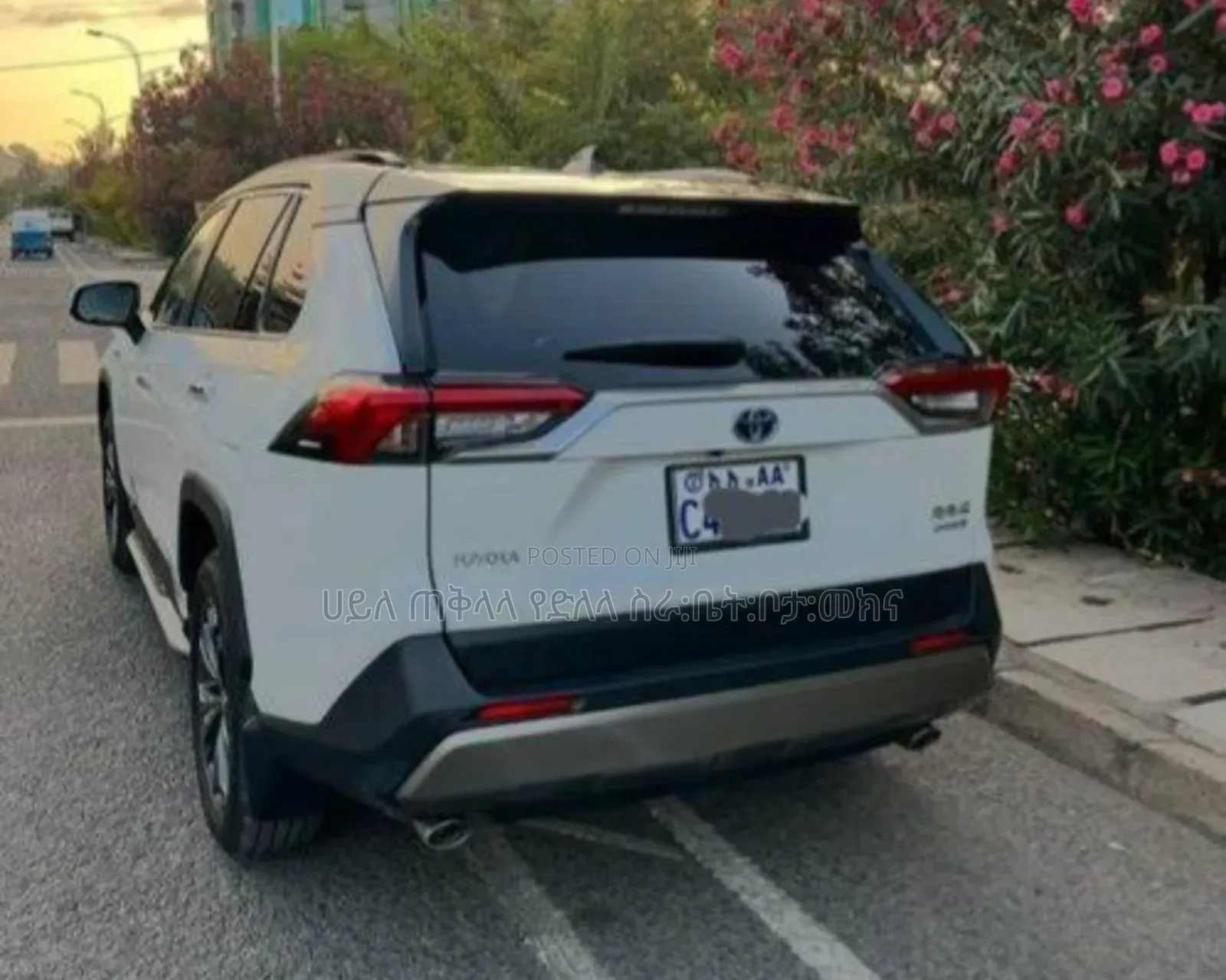 Toyota RAV4 Hybrid 2023 Ivory