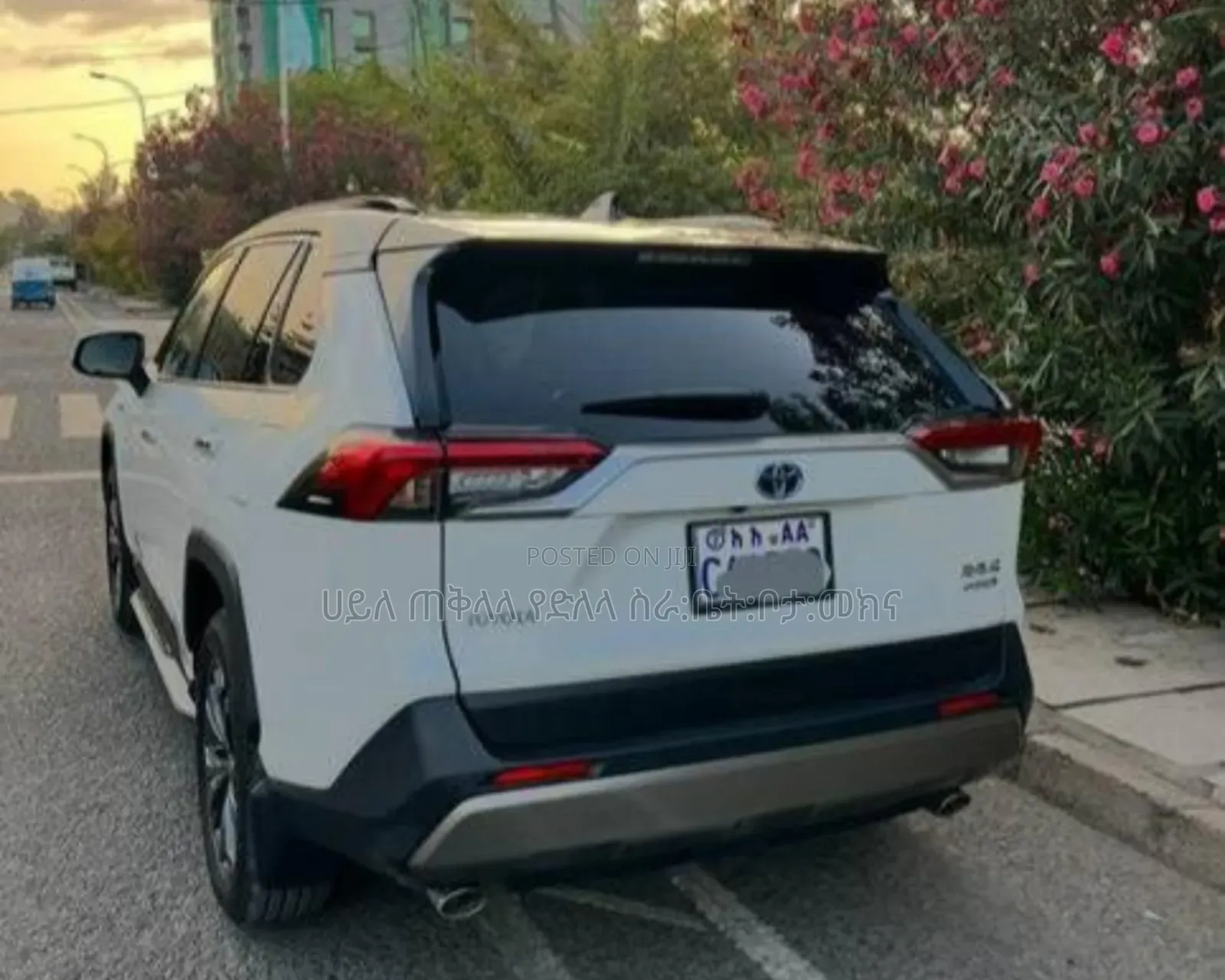 Toyota RAV4 Hybrid 2023 Ivory