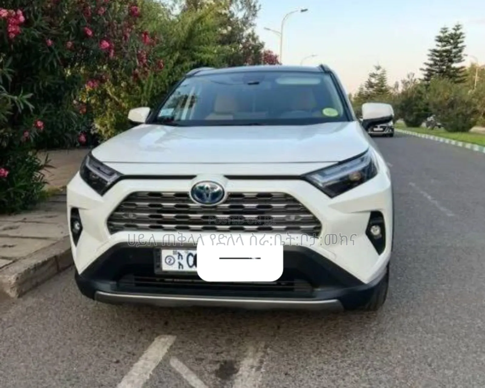 Toyota RAV4 Hybrid 2023 Ivory