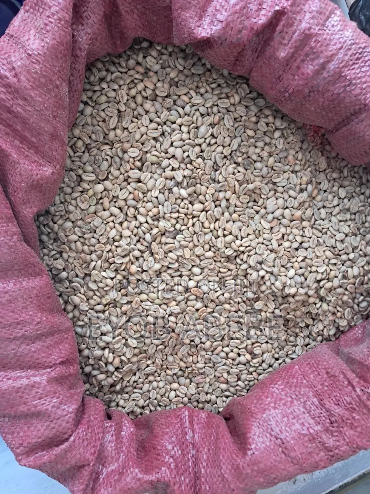 Pure Yirgachefe Bunna