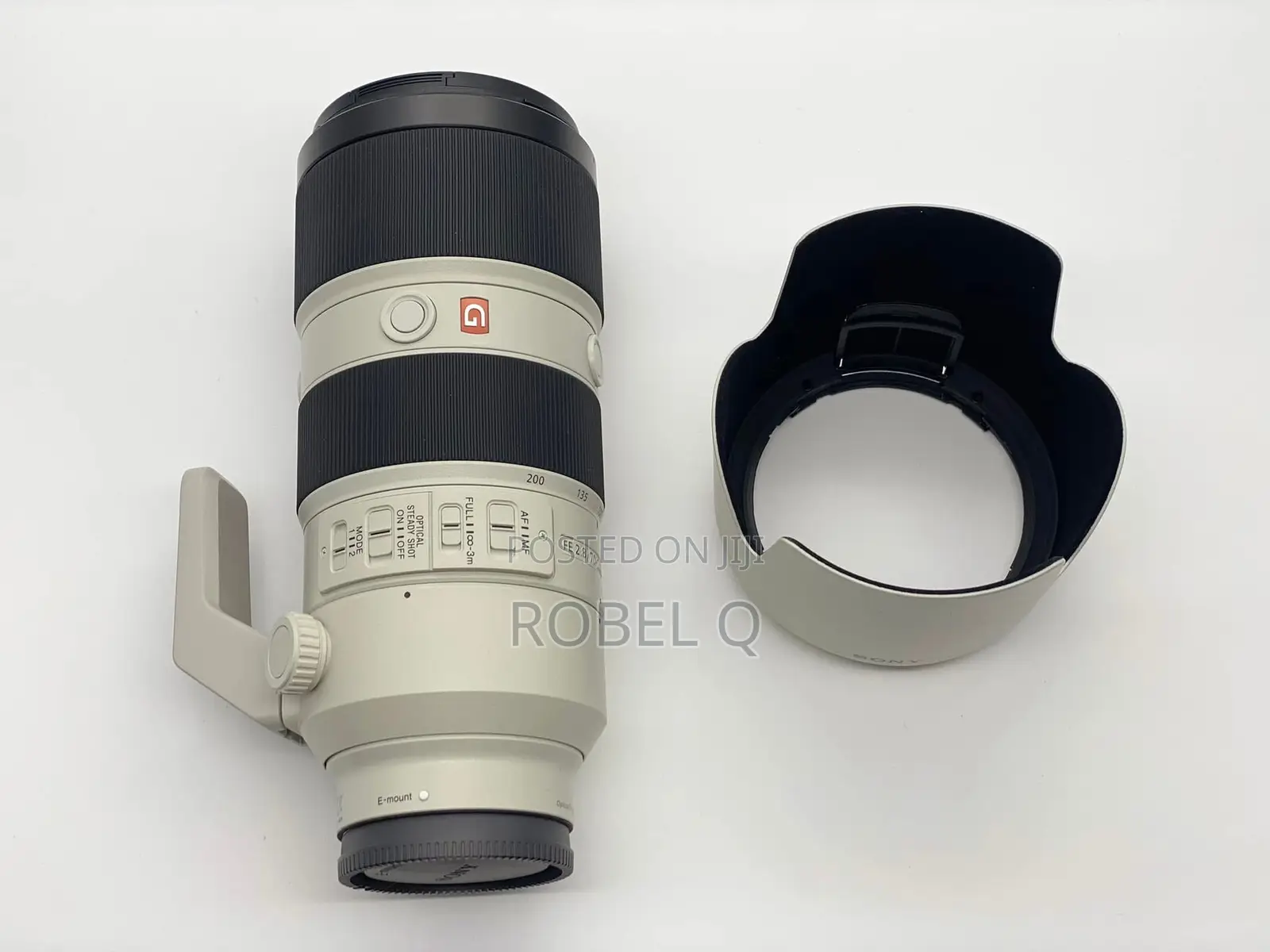 Sony 70-200mm F2.8 Zebra Lens