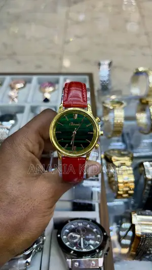 Photo - Biaoshi Women’S Watch Leather