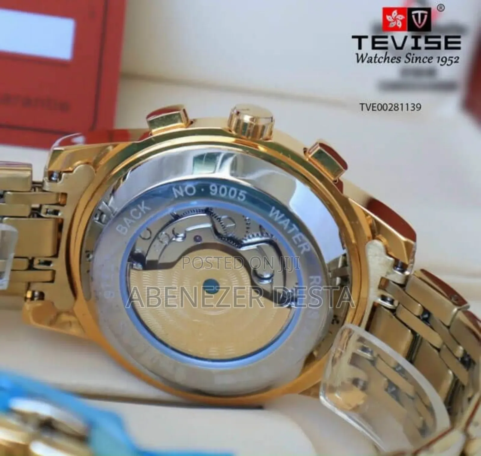Tevise Full Gold Luxury Automatic Mechanical Men's Watch